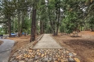 Cozy Bear Retreat - 4