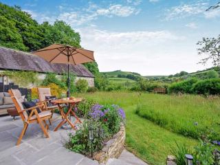 Willow Tit Cottage - Capel-Cynon - 0
