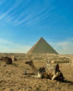 Giza area hotel - Kairo - 6