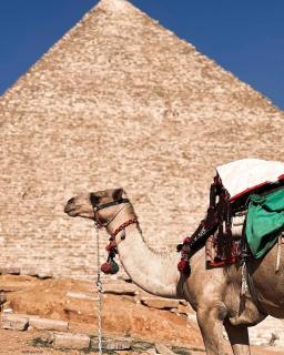 Giza area hotel - Kairo - 1