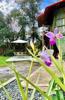 Cabaña privada Glamping via a termales - Santa Rosa de Cabal - 4