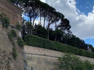Vatican LeM collection - Roma - 5
