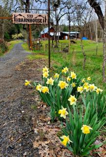 Cozy Cabin, near Mosier and Hood River - 7