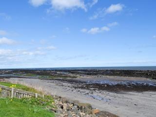 Limpet Cottage - 1