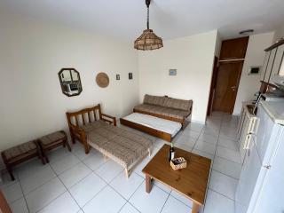 Garden by the sea apartment just 100m from the beach - Pefkochori - 1