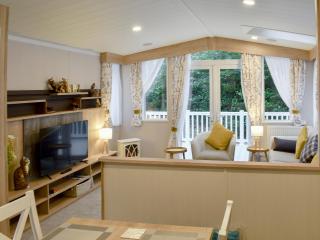 The Hollies Lodge - Prenteg - 6
