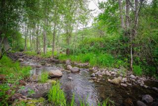 Farm House / duplex on Mosier Creek - Mosier - 6