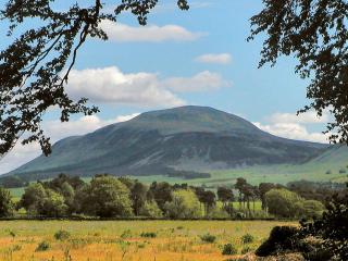 Bracken Log Cabin - S4468 - Glenfarg - 3