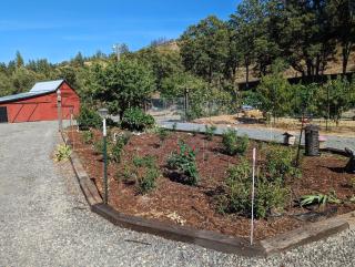 Tiny Farmhouse/duplex - Mosier - 8