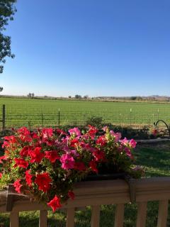 Kathys Bed and Breakfast - 2