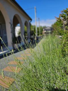 Villa Bellina Muraj - 6