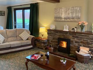 Hayscastle Farmhouse - Hayscastle - 0