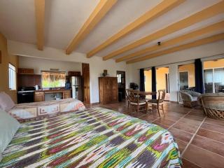 Pobuda Deluxe Room - Cabo Pulmo - 2