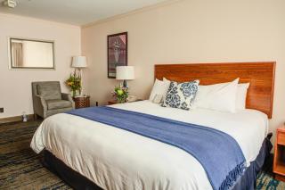 The Voyager Inn - 5