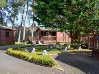 Lodge F- Uk33092 - Dinnet - 2