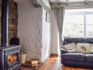 Blaen Y Cwm - Carno - 6