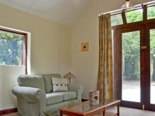 Waterfall Cottage - Tansley - 2