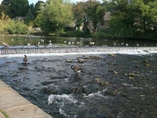 Bookkeepers Place - Bakewell - 1