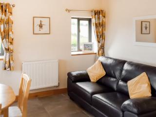 Red Kite Cottage - Llangunllo - 6