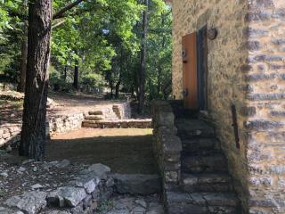 Cipressi - Zaneca - 0