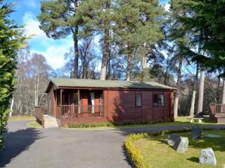 Lodge C- Uk33089 - Dinnet - 9