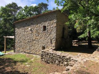 Cipressi - Zaneca - 4