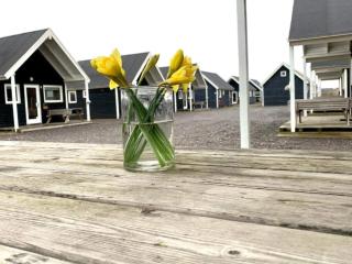 Holiday home Thyborøn VI - Thyborøn - 1