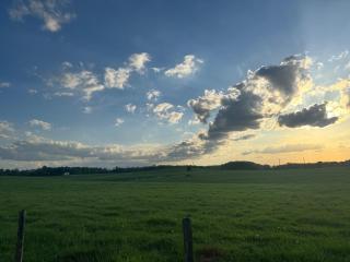Peaceful Pastures - New construction home! - Dickson - 9