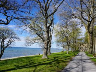 4 star holiday home in VISBY - Visby - 7