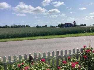 6 person holiday home in Horslunde - 1