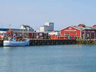 5 star holiday home in Thyborøn - 1