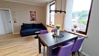 Jessis Harz Appartements - 7