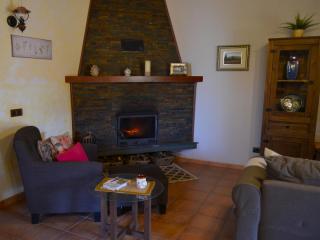 Cottage in Valleseco near Doramas Park - Valleseco - 5