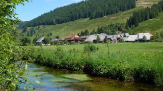 Gästehaus Kaiser - 5