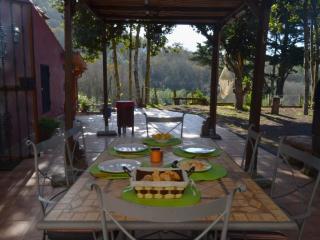 Cottage in Valleseco near Doramas Park - Valleseco - 6