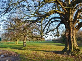 Willow Cottage - Beverley - 2