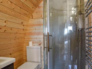 Joshuas Den - Uk40975 - Felindre - 3
