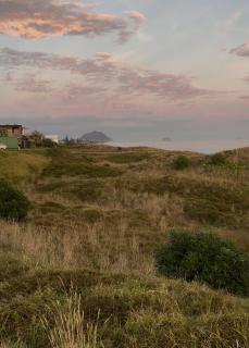 Coastal Comfort - Mount Maunganui - 6