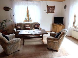 Apartment in Eifel near Nürburgring, cleaning included - Oberstadtfeld - 8
