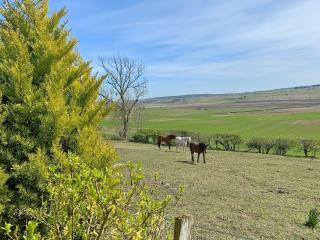 The Cottage - Methven - 1
