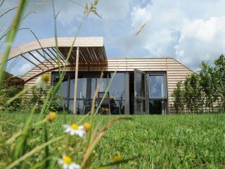 Apartment in Netherlands with Scenic Meadows - Heeten - 4