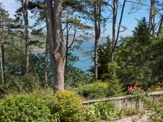 Ringrone 3 - Salcombe - 9