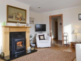 Rowan Cottage - Aviemore - 9