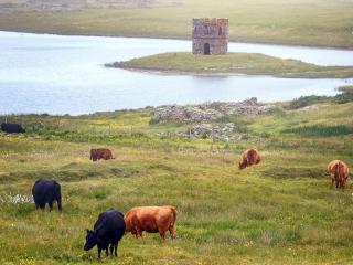 The Studio - Lochmaddy - 1