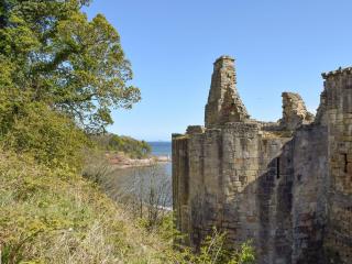 Little Gem - Kirkcaldy - 3