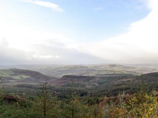 The Hen House - Llanfair-ar-y-bryn - 1