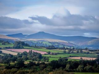 The Hen House - Llanfair-ar-y-bryn - 0