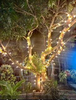 El susurro del agua cabaña casa blanca - Ibagué - 7