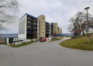 Apartment in idyllischer Umgebung - Haidmühle - 4