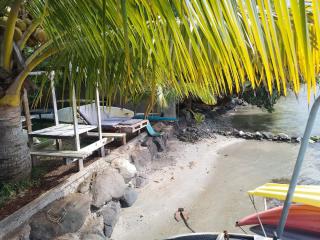 Les poissons du lagon YH - Uturoa - 0